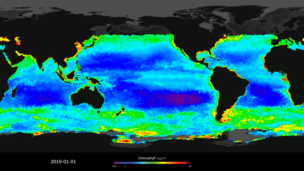 Ocean deserts for carbon sequestration