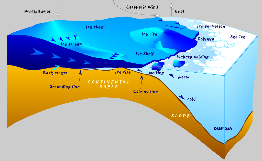 Sketch of the Antarctic coast with glaciological and oceanographic processes.