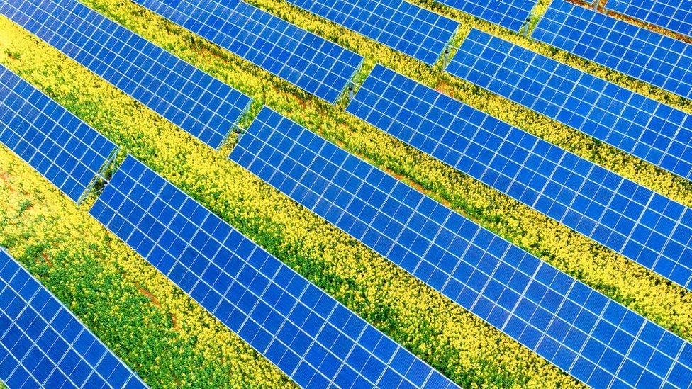 Solar farm, Getty images from the article