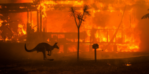 Black Summer fire illustrates need for political revolution in Australia